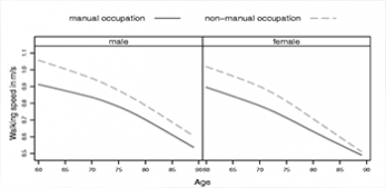 Differences in physical aging measured by walking speed